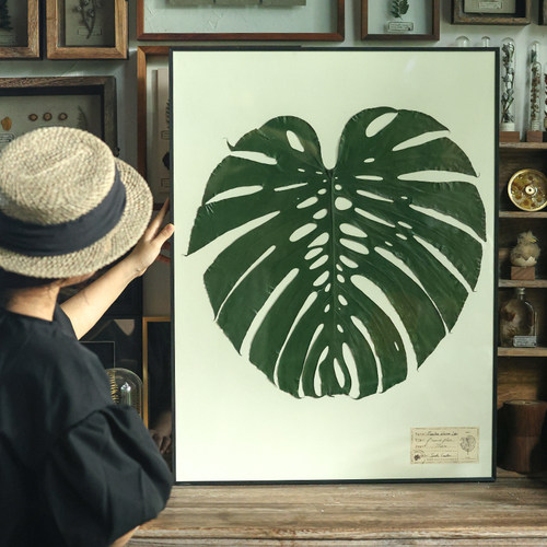 家大叶大种籽造物押花画大画