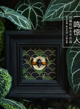种籽造物一鸣惊人植物标本画博物风复古高级感装饰画高考毕业礼物