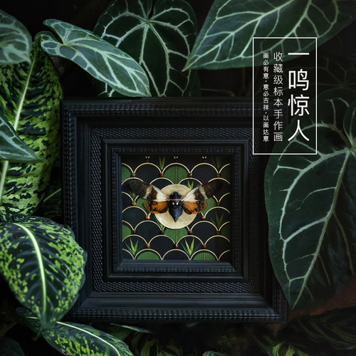 毕业礼物收藏级礼品画种籽造物