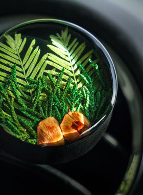 种籽造物挪威森林植物标本车载伴手礼香薰出风口礼盒扩香摆件礼物