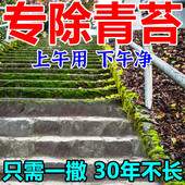 青苔清除剂水泥地面墙砖清理绿藻克星池塘鱼缸水池灭藻苔专用神器