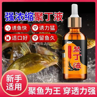 【黄辣丁小药】昂刺黄颡鱼昂公浓腥味诱鱼添加剂钓鱼聚丁液谷道香