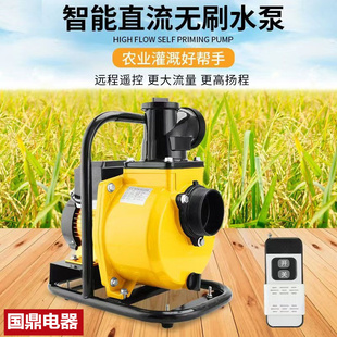 永磁电瓶三轮车水泵无刷直流自吸泵农用浇灌溉电动车抽水机48-72V