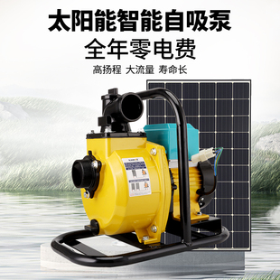 狮峰太阳能永磁无刷灌溉自吸泵家用河道鱼塘井水假山抽水节能环保