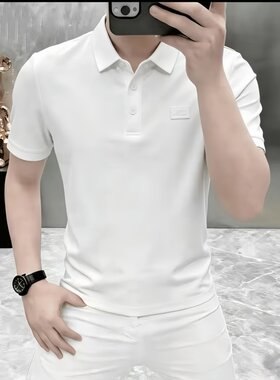高档夏季男士轻奢POLO衫短袖T恤