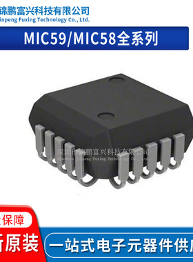 MIC59P60BV MIC58P42BV MIC5842YV/5842BV/5841YV MIC5841BV-TR