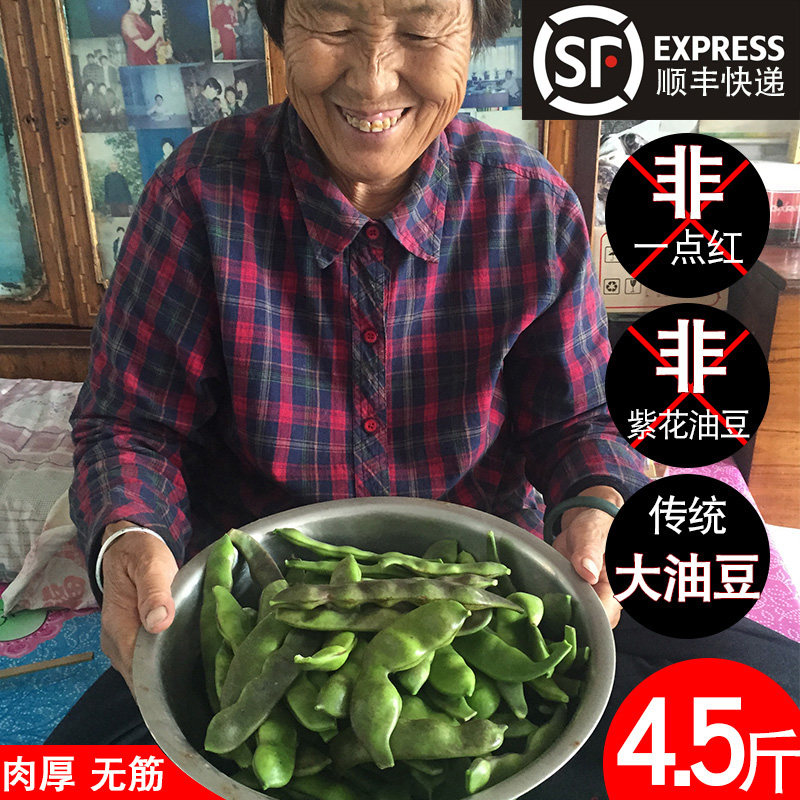 紫花油分期付款素材模板 紫花油分期付款图片下载 小麦优选