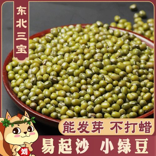 珍珠小绿豆新货起沙发豆芽