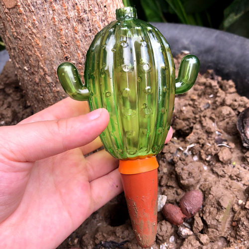 仙人掌自动浇花器地灌设备