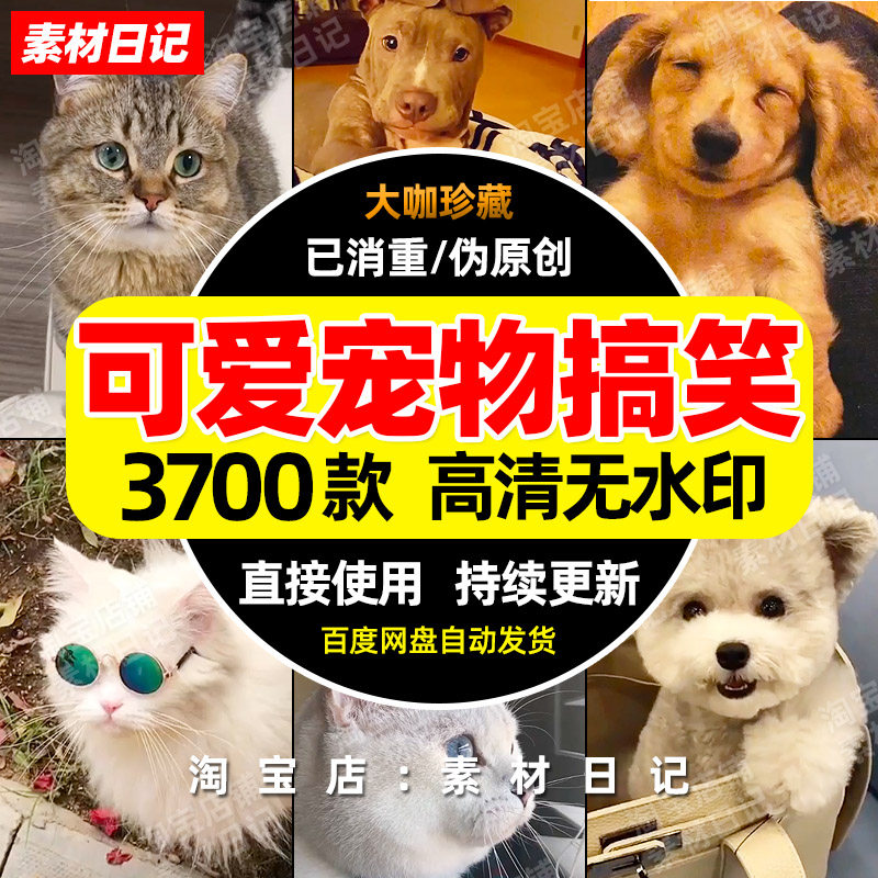 可爱宠物动物搞笑视频抖音快手自媒体无水印高清热门剪辑素材合集