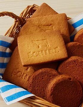 包邮|现货日本进口艾许曲奇饼干ECHIRE香酥黄油饼干网红食品零食