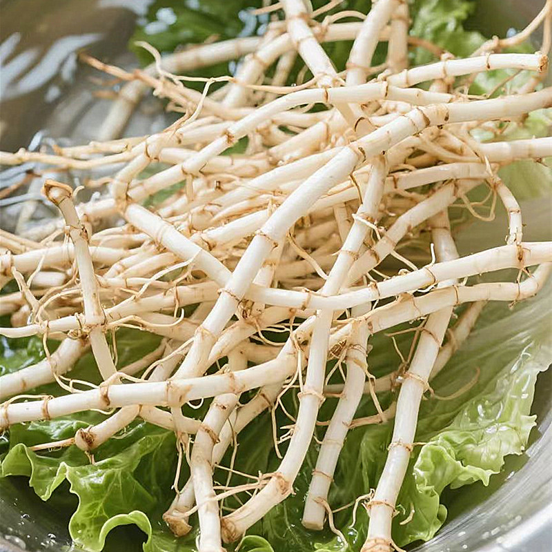 新鲜鱼腥草蔬菜农家现挖折耳根