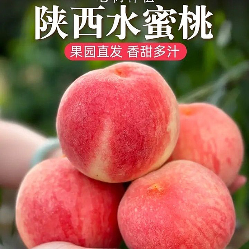 现摘高山水蜜桃5斤包邮