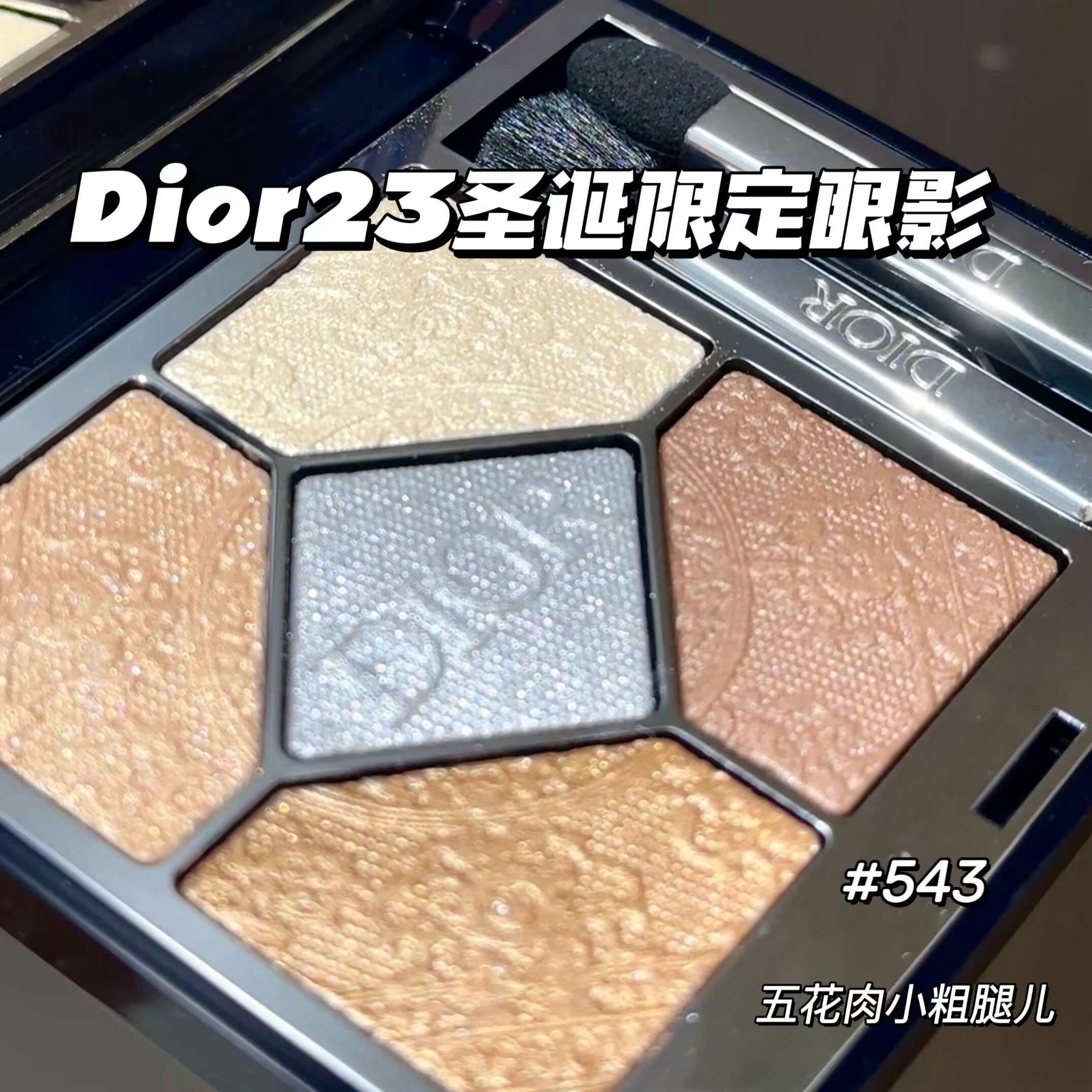 Dior/迪奥23年圣诞限定五色眼影盘543 Promenade Doree显色持久