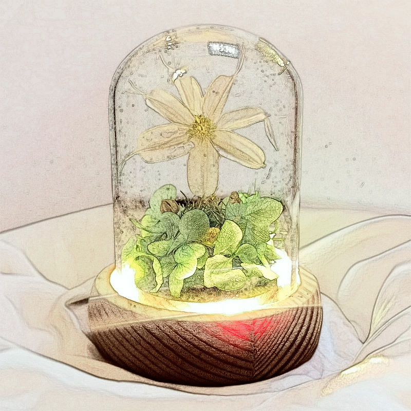 原创氛围永生花玻璃罩摆件手办成品手工干花内发光小花灯装饰
