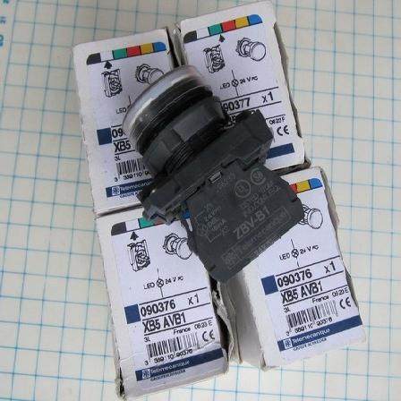 进口正品 SCHNEIDER  XB5 AVG1 指示灯 AVG4 AVB3 AVM5 AVM3 AVM1