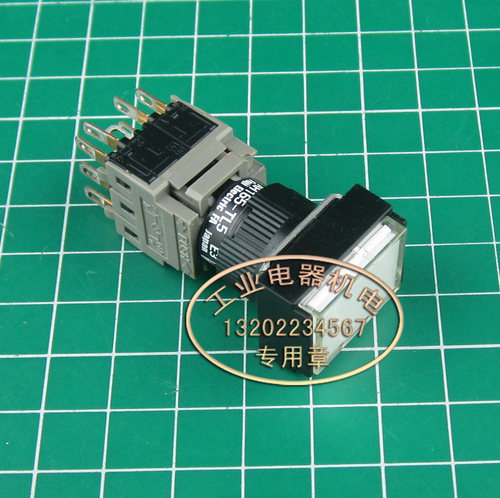 原产进口 正品 富士 AH165-TL5 E3  Ф16孔径 带灯带锁按钮开关