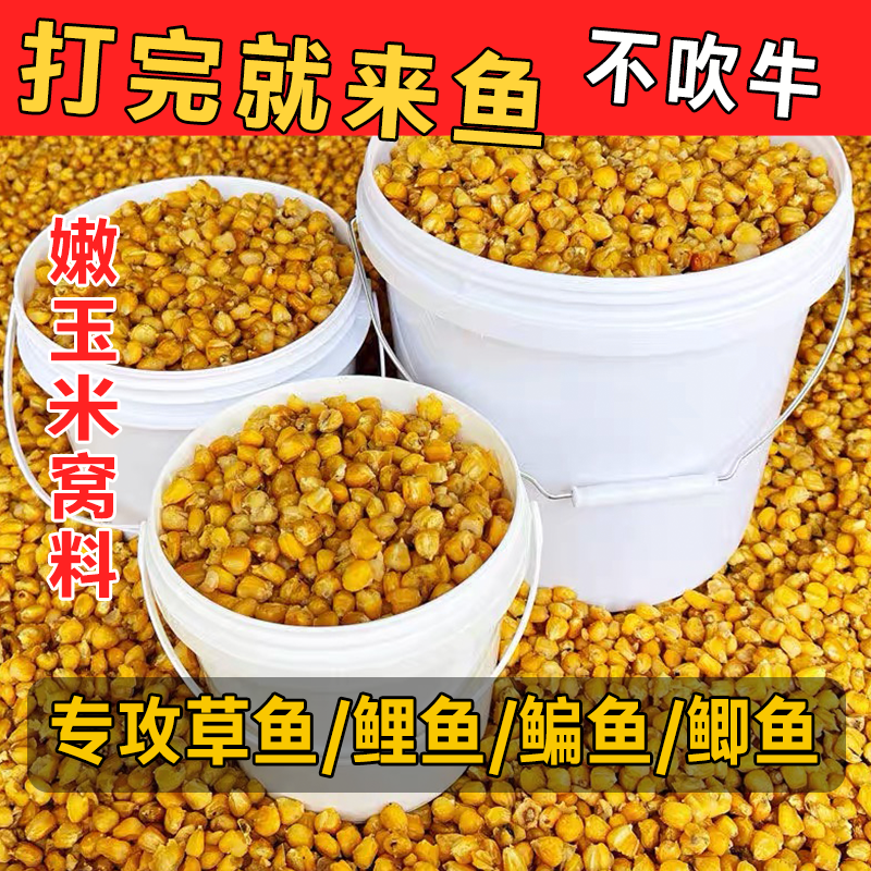 发酵老坛玉米打窝料鱼饵野钓江河水库鲫鲤草鱼饵野钓大物水库重窝