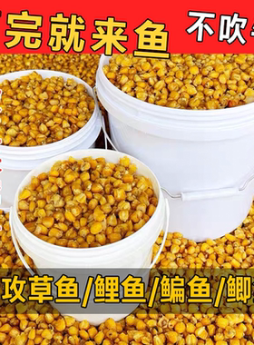 发酵老坛玉米打窝料鱼饵野钓江河水库鲫鲤草鱼饵野钓大物水库重窝