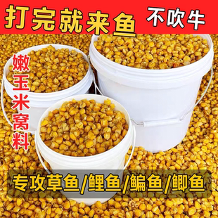 发酵老坛玉米打窝料鱼饵野钓江河水库鲫鲤草鱼饵野钓大物水库重窝