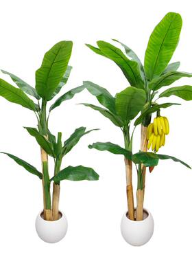 仿真芭蕉树四季常绿植物室内绿植