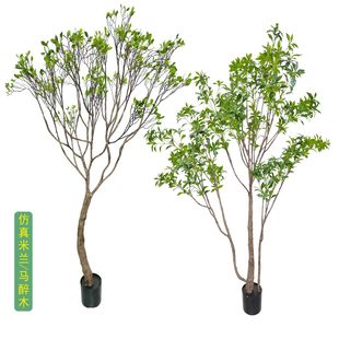 仿真米兰草树马醉木树绿植室内景观树展厅门店橱窗网红装饰叶子树