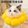 Товары от 仓鼠小包子