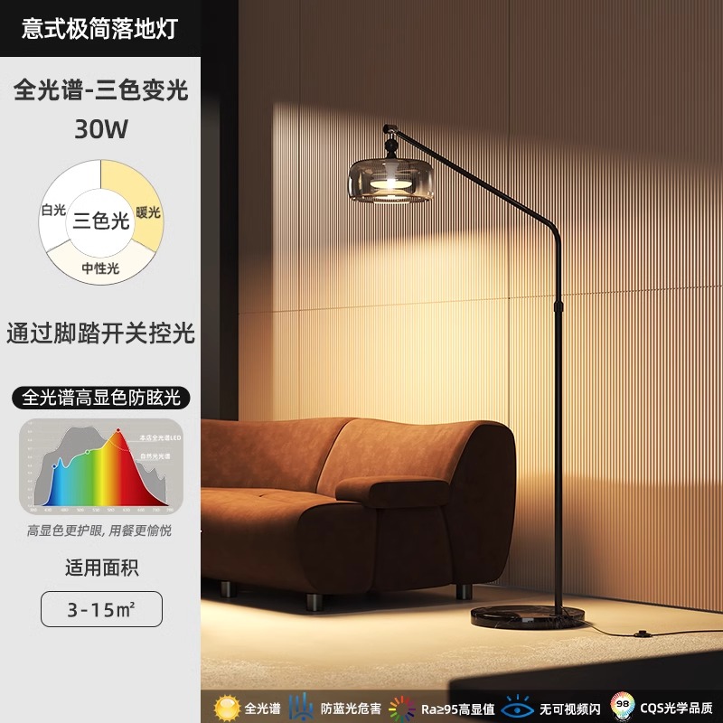 意式极简轻奢高级感落地灯客厅护眼氛围钓鱼灯卧室床头立式台灯具