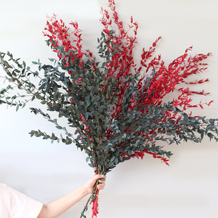 细叶尤加利永生真花干花diy手工配叶风干装饰插花北欧文艺风桉树