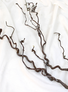 龙柳龙枣枝天堂鸟叶子干树枝弯枝造型装饰摆设插花中式宅寂风软装