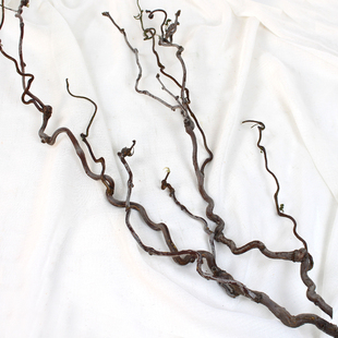 宅寂风软装 龙柳龙枣枝天堂鸟叶子干树枝弯枝造型装 饰摆设插花中式