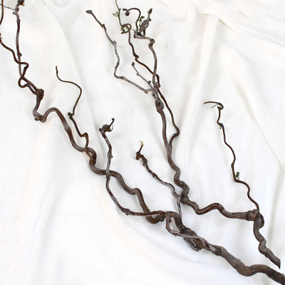 龙枣龙柳枝天堂鸟叶子造型插花