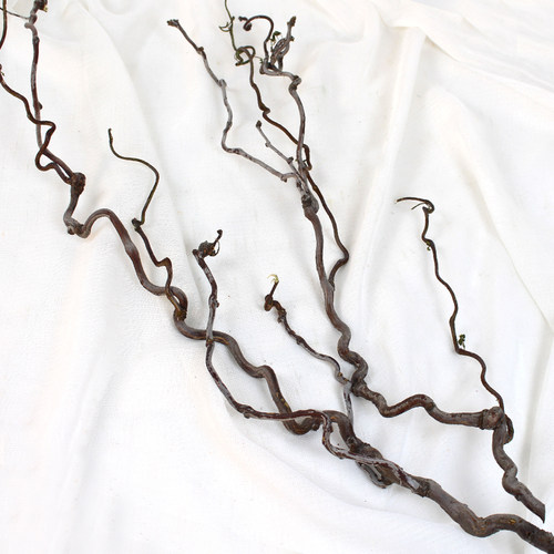 龙枣龙柳枝天堂鸟叶子造型插花