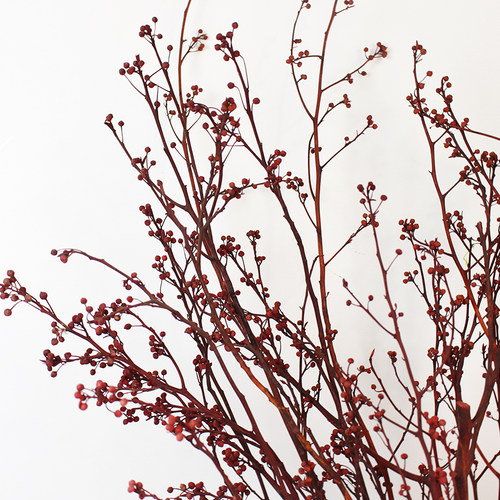 灯台干树枝长枝干花中式装饰插花