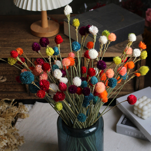 草莓果干花发财果装饰摆件家居客厅店铺插花diy粘花千日红小清新