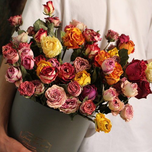 云南玫瑰新品干花真花花材插花