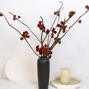 小南瓜干枝酸浆果干花中式红色喜庆插花摆设干果真花婚庆花材软装