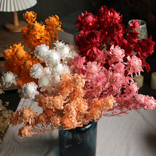 飾擺設(shè)插花婚慶店鋪造景陳設(shè)花束云南橙菠蘿 永生菠蘿菊干花真花裝