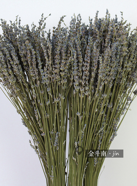 薰衣草干花兔尾草麦穗天然真花家居插花装饰配花diy干花礼盒花材