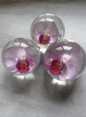 蝴蝶兰鲜花标本树脂水晶圆球摆件