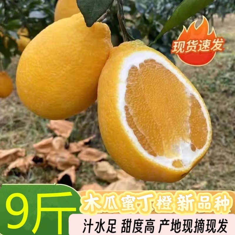 【现摘现发】福建木瓜蜜丁橙子新鲜爆汁新鲜孕妇时令水果非脐橙柚,水产肉类/新鲜蔬果/熟食,柚子,淘宝优惠券,粉丝福利购,淘宝优惠卷