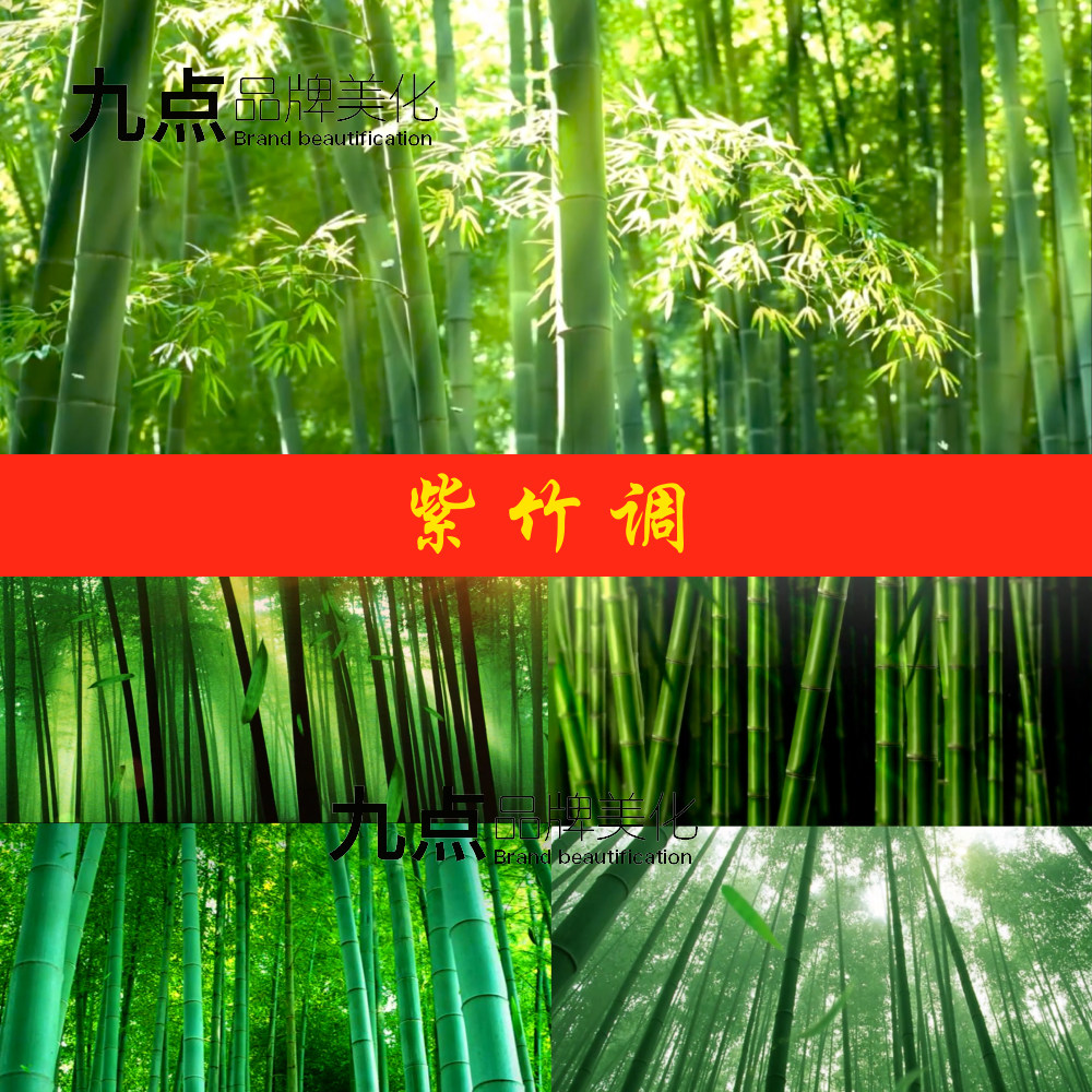 紫竹调古筝伴奏 竹林翠竹 民族舞蹈表演LED大屏幕背景视频素材