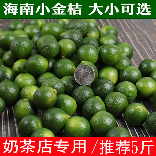 海南小金桔新鲜酸柠檬包邮