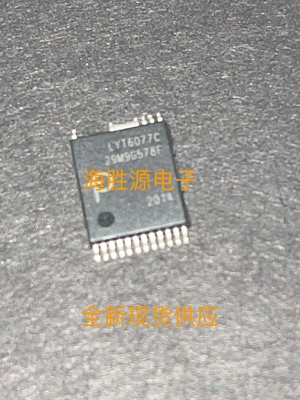 LYT6077C LYT6077 氮化镓GAN芯片INSOP-24 全新现货供应