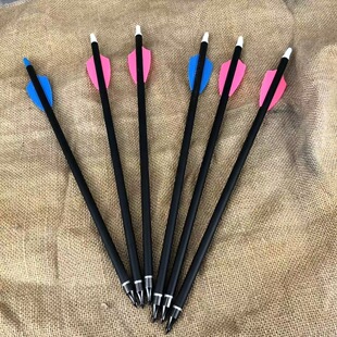 混碳箭Cobra System R9 RX 长箭11.8英寸 30cm长2片箭羽整套高配