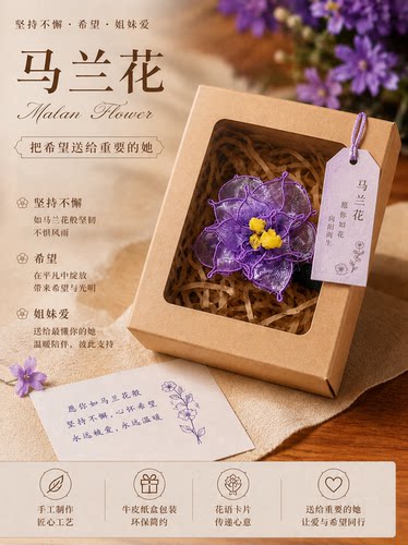 我想带束花送给你—马兰花 花语：坚持不懈，不屈服，姐妹爱