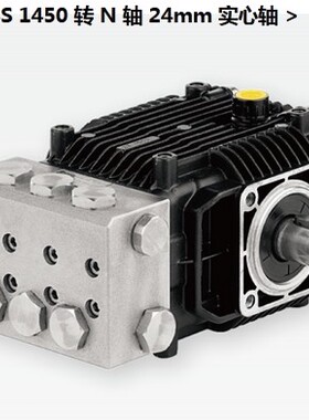 意大利AR耐腐蚀海水泵XM SS 11.17 N高压不锈钢柱塞泵11L 170bar