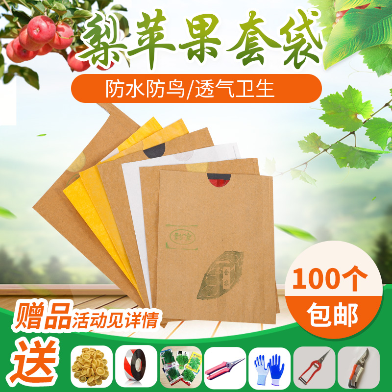 梨套袋黄金梨晚秋黄梨秋月韩富士
