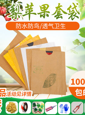 梨套袋黄金梨晚秋黄梨秋月韩富士