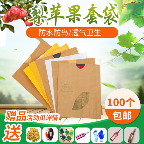 梨套袋黄金梨晚秋黄梨秋月韩富士